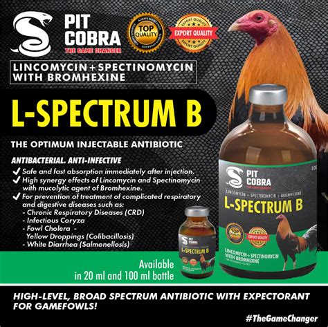 pit cobra 226 live login|Premium Gamefowl and Racing Pigeon Products .